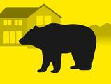 市判断でクマに発砲許可、全国初