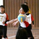 栃木県ドッジボール選手権、隼Eightが２連覇　サウスポー２人を柱に圧倒　ジュニアはトライ∞Jrが制す