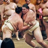 大の里、琴桜に１２勝３敗