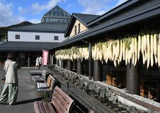 県内直売所、売り上げ最高のわけは？　こだわりの商品展開、設備投資など奏功