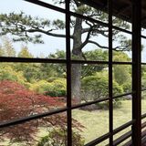 【お茶でもしながら　小説家・村崎なぎこの日常】（10）祭りのあとの現実　同時進行で作品を書き分けるための秘策について