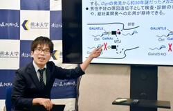 受精必須のタンパク質判明
