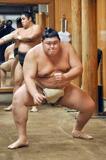 初場所、初日は大の里と一山本