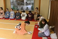 秋の日光で優雅な一服