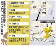 ぬいぐるみを「母」に