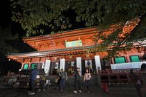 世界遺産ライトアップ　日光