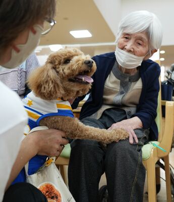 セラピー犬と触れ合う施設利用者