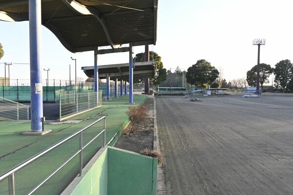 緑地運動公園の多目的グラウンド（右側）や野球場（奥）