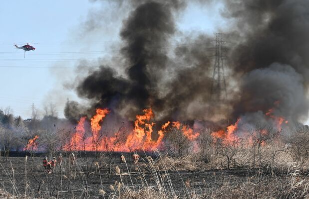 炎を上げる河川敷＝３月中旬、上三川町東汗
