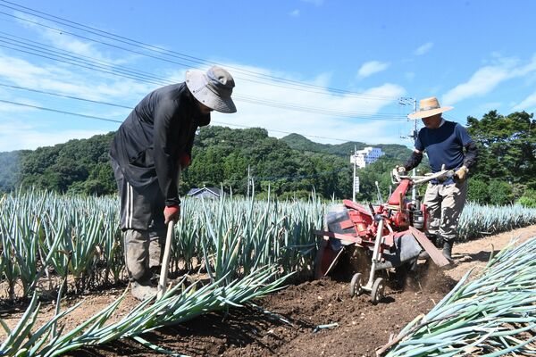 踏返しをする麦島組合長（右）と松本副組合長