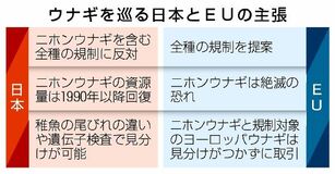 ウナギ規制、最大焦点