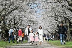 みちのく三大名所