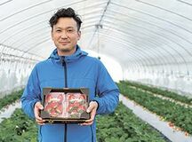 スカイベリーに魅せられて就農JA足利のイチゴ「スカイベリー」