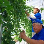 ７人の熱き「パッション」実れ　真岡で南国フルーツ栽培に挑戦