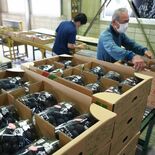 栃木・大平地区でブドウ初出荷　ハウス栽培の巨峰、鮮度抜群