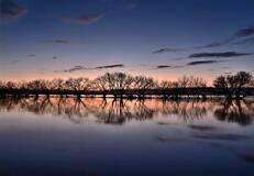 銅賞　「射し込む光」