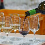 小山駅でワインイベント　１月24日