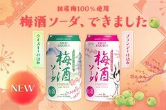 【新商品】芳醇な香りと爽やかな炭酸が織りなす、大人の梅酒ソーダ誕生