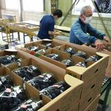 栃木・大平地区でブドウ初出荷　ハウス栽培の巨峰、鮮度抜群