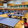 卓球「平野早矢香杯」がリニューアル、「城山杯」の受け皿に　鹿沼で２日間、全国から猛者1000人集う