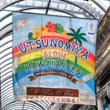 宇都宮の中心市街地が“南国”に　最大規模でムード盛り上げ　28、29日…