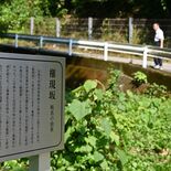 地元に愛される「へび坂」、実は「権現坂」だった 鹿沼 行政相談委員らが…