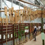「厄介者」ではない？　栃木で企画展「あなたは竹の何を知っているというの…