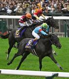 競馬の菊花賞、エネルジコが優勝
