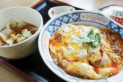 かつ丼とおしらじうどん（小）セット