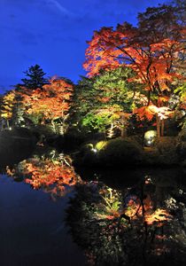 「逍遥園」ライトアップ　日光