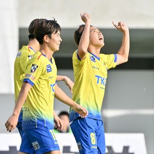 栃木SC、プレーオフ進出に望みつなぐ カウンターが奏功 ホーム最終戦で鳥取に執念の勝利