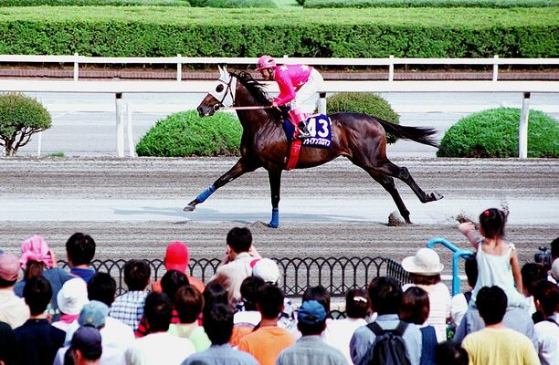 大勢のファンの声援を受けながらラストランを披露するブライアンズロマン＝２００１年７月、宇都宮競馬場