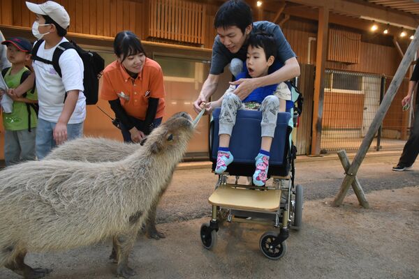 カピバラに餌を与える参加者たち＝７日午後６時４０分ごろ、那須町大島