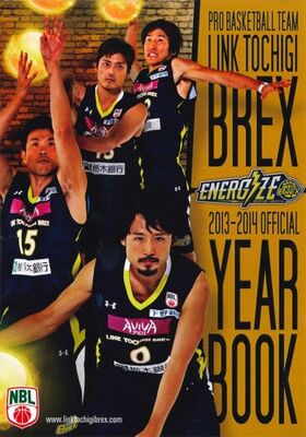 LINK TOCHIGI BREX/TGI D-RISE OFFICIAL YEAR BOOK 2013-2014