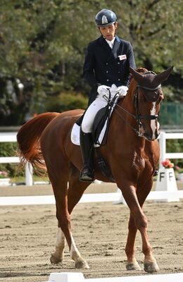 馬術成年男子自由演技馬場馬術　ファーストオリバー号をリズミカルに操り、優勝を決めた鈴木＝那須塩原市の地方競馬教養センター