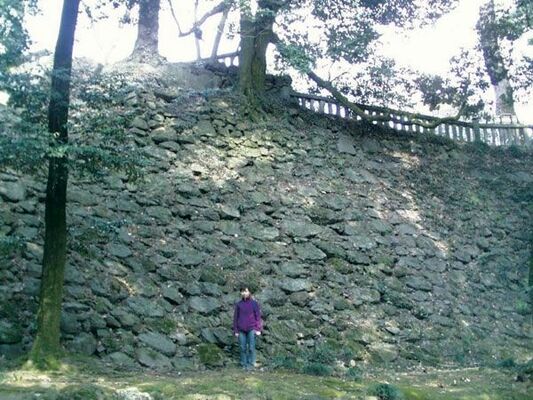 堅牢な石垣が残る唐沢山城跡（市提供）