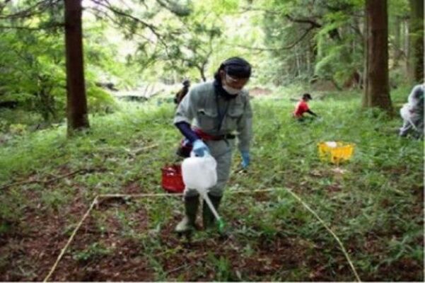 ヤマビルへの効果を検証するために実施した重曹散布＝矢板市（県提供）