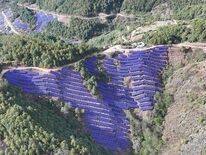 Risen EnergyがChina Huaneng Groupから1…