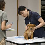 保護犬、保護猫の選択肢が浸透　栃木県動物愛護指導センター　譲渡割合が上…