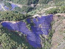 Risen EnergyがChina Huaneng Groupから1.2GWのHJTモジュールを受注、業界のリーダーシップを発揮