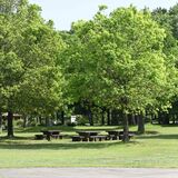 「民間の力を貸してほしい」　整備事業者が未定の壬生・わんぱく公園　県が指針改め再度募集　