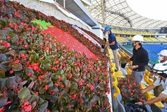 ロイヤルボックスに使用、飾り花を配布　10月13日と11月３日