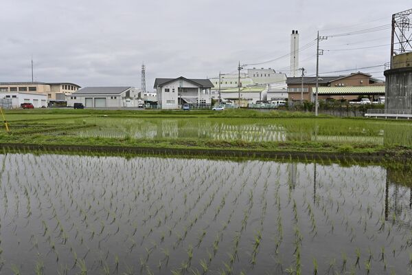 会場となる市環境クリーンセンターと隣接する田んぼ