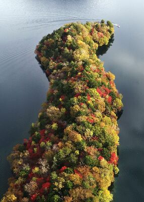 モザイク模様の紅葉が美しい八丁出島＝23日午前７時20分、日光市中宮祠、ドローンから
