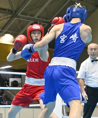 ボクシング男子ライトフライ級決勝　１回、白鴎足利の小林（左）が左ストレートを放つ＝岡山県玉野市総合体育館、広瀬華撮影