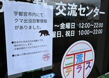 宇都宮の市街地にクマ出没　「早く捕まって」市民不安　イベント中止や対策…