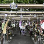 ちりんと響く音色涼やか　下野・華蔵寺で「風鈴まつり」　金魚やアサガオな…