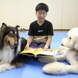 セラピー犬と“ワン”ダフルなひととき　栃木の図書館が読書イベント