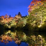 色づく木々に人々くぎ付け　日光山輪王寺の逍遥園で紅葉ライトアップ
