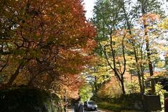 世界遺産に彩り